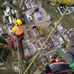 Pielęgnacja ogrodów Bydgoszcz 1