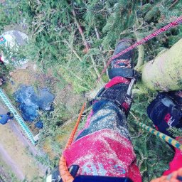 Pielęgnacja ogrodów Bydgoszcz 2