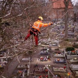 Pielęgnacja ogrodów Bydgoszcz 4
