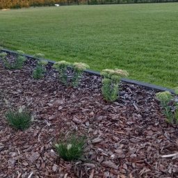 MK Usługi ogrodnicze Mariusz Koćmik - Trawa siana