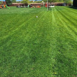 Koszenie duzych powierzchni