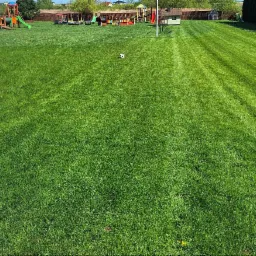 Koszenie duzych powierzchni