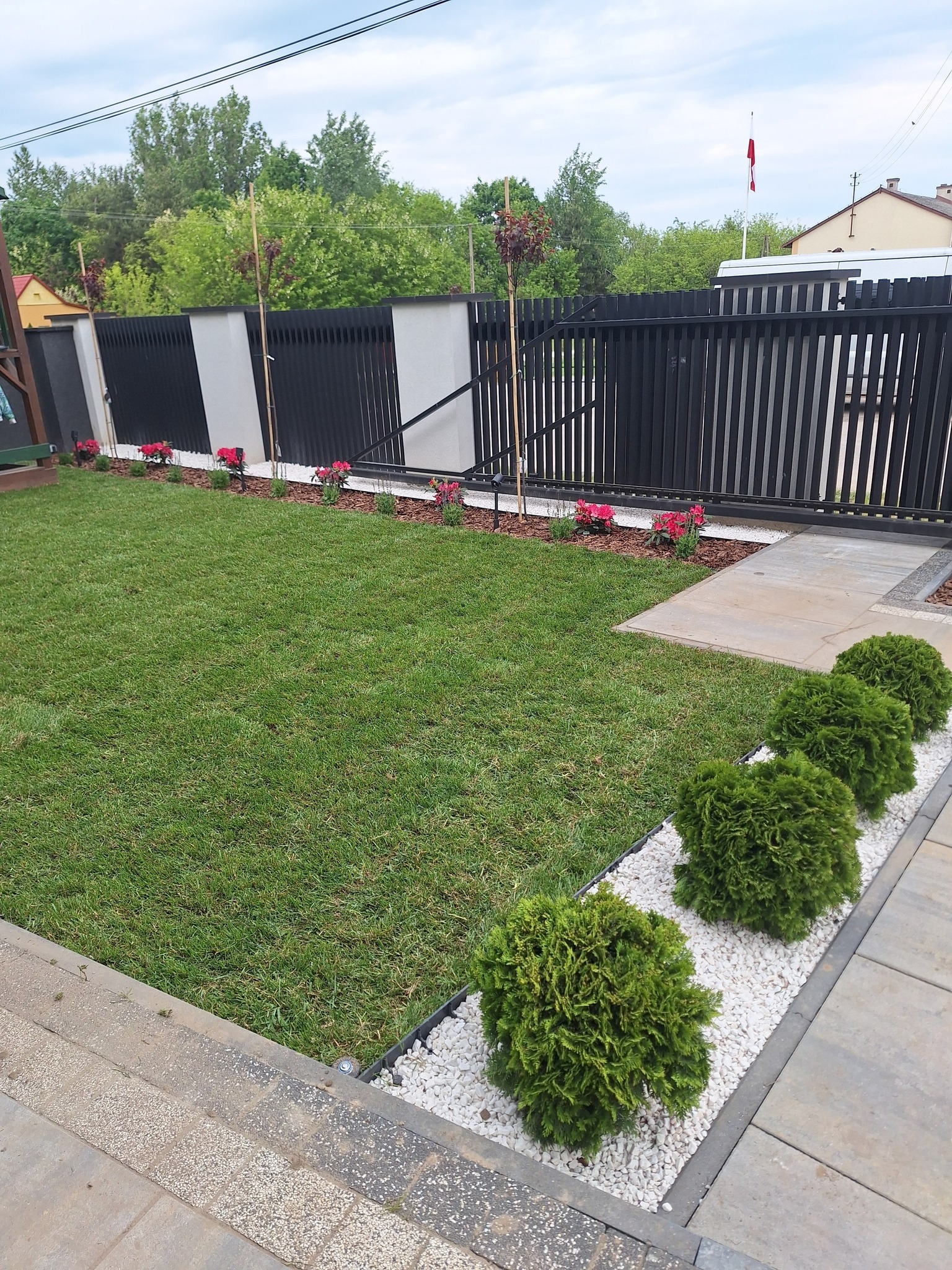 Zadbany trawnik z równo przyciętą trawą, obok ścieżka z kostki brukowej, kuliste krzewy na białym żwirku, w tle czarno-szare ogrodzenie i posadzone młode drzewka z czerwonymi kwiatami.