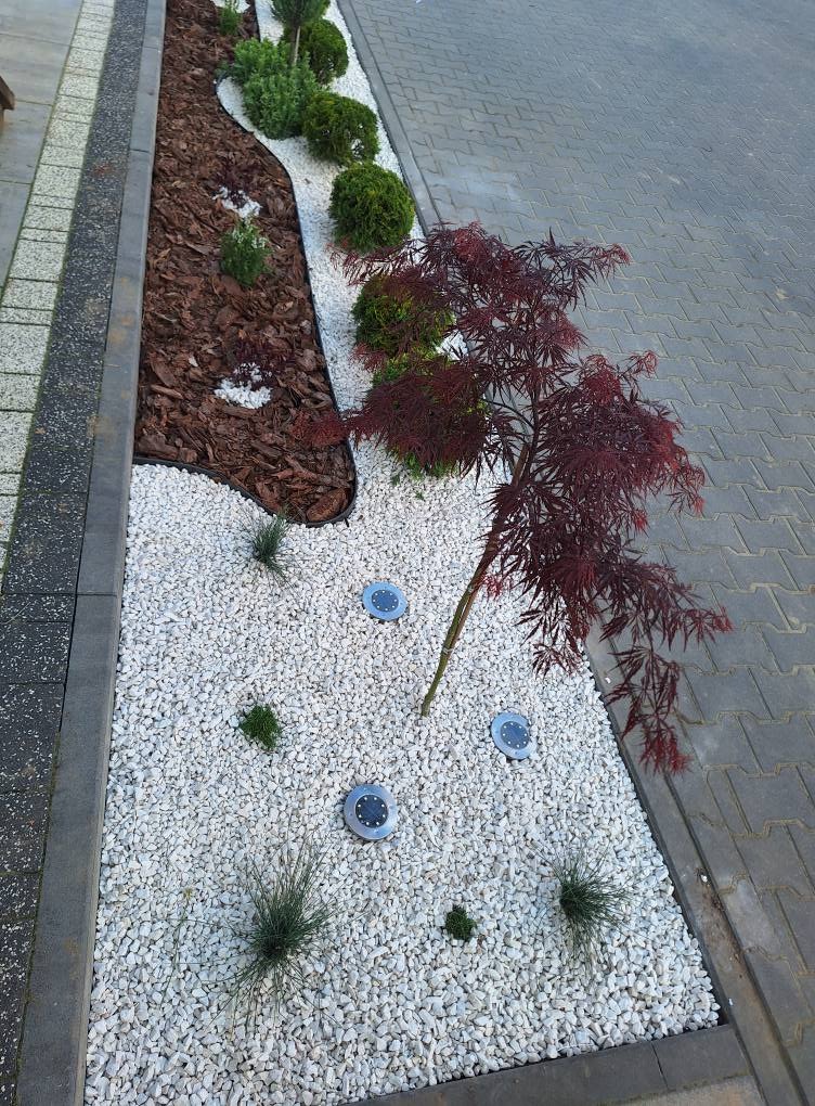 Ogród z czerwonym klonem palmowym, białymi kamykami, korą i podświetleniem LED. Dekoracyjny układ roślin i kamieni wzdłuż ścieżki.