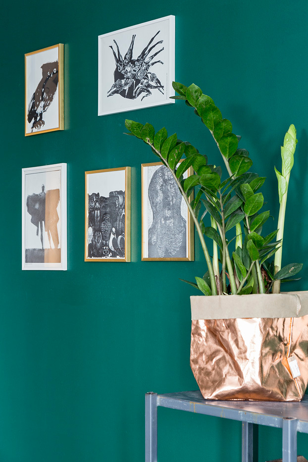Zielona ściana z galerią czarno-białych grafik w złotych i białych ramach, obok roślina w metalizowanej doniczce na metalowym regale.