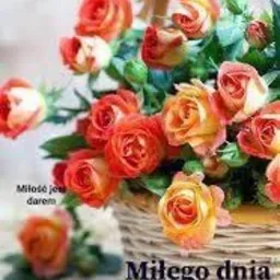 pokazy ogni sztucznych