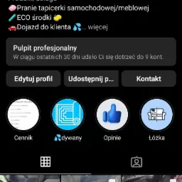 Zrzut ekranu profilu firmy na Instagramie oferującej pranie tapicerki samochodowej i meblowej, z widocznymi postami prezentującymi efekty czyszczenia wnętrz pojazdów.