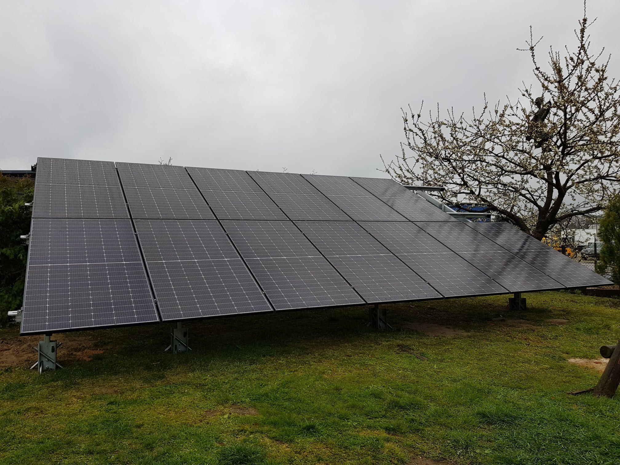 Panel słoneczny na trawniku, zamontowany na metalowych wspornikach, z kwitnącym drzewem w tle i pochmurnym niebem.