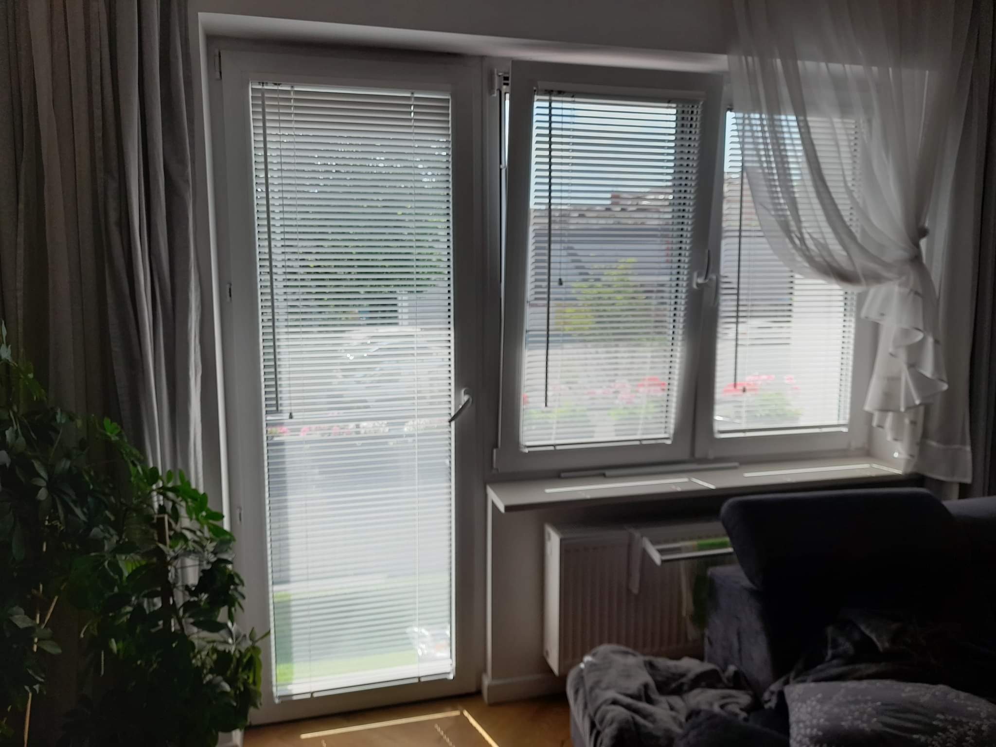 Białe aluminiowe żaluzje poziome zamontowane w oknach z białymi ramami, zasłonięte częściowo firankami i zasłonami, z widokiem na budynki za oknem.