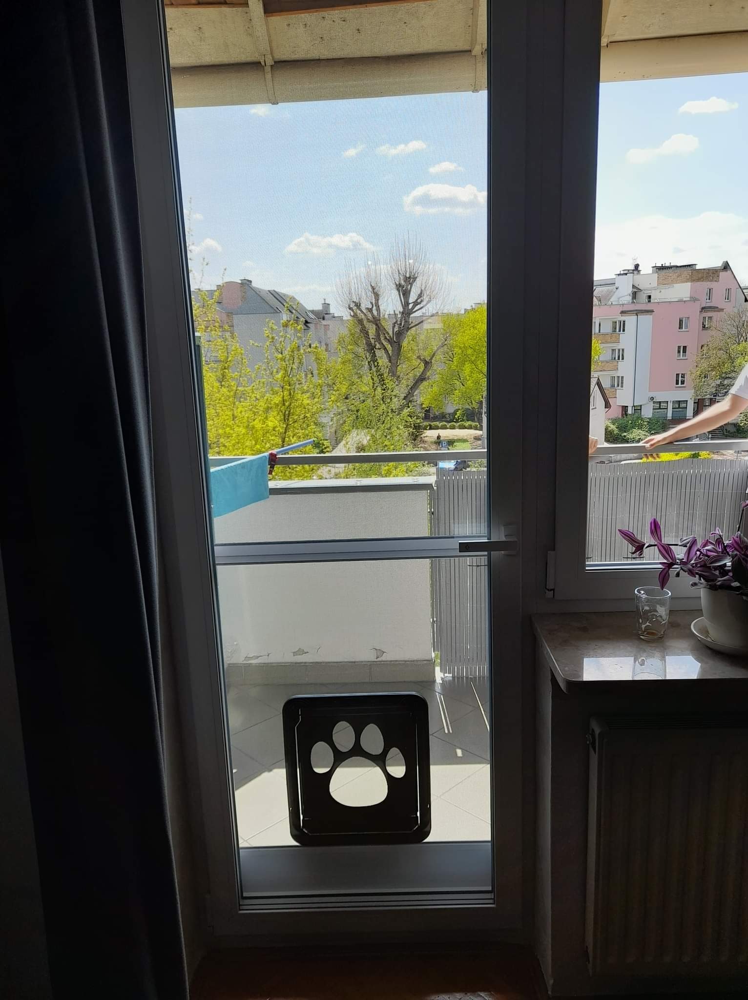 Białe okno balkonowe z zamontowaną siatką z otworem w kształcie łapy zwierzęcej, widok na balkon i zieleń miejską w słoneczny dzień.