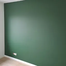 Ściana pomalowana na ciemnozielony kolor, widoczny fragment białej listwy przypodłogowej, drewniana podłoga oraz biały włącznik elektryczny na ścianie.