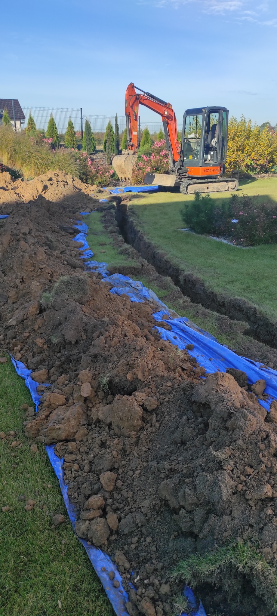 Pomarańczowa mini koparka Hitachi wykonuje wykop liniowy w trawniku, zabezpieczonym niebieską folią, z widocznym świeżo wykopanym brzegiem ziemi i zadbanym ogrodem w tle.
