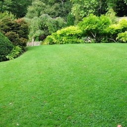 Pielęgnacja ogrodów Szczytno  1