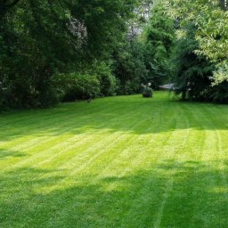 Pielęgnacja ogrodów Szczytno  2