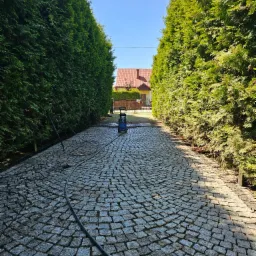 Kostka brukowa na podjeździe, częściowo umyta myjką ciśnieniową, otoczona wysokimi tujami prowadzącymi do domu z czerwonym dachem w tle.