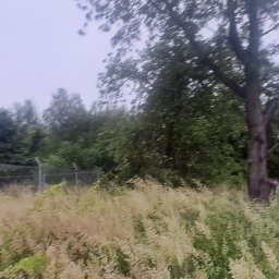 DSF Wyburzenia-Rozbiórki Dominik Filipek - Zarośnięty teren z wysoką, kwitnącą trawą i chwastami na pierwszym planie, obok metalowej wieży kratownicowej i ogrodzenia z drutem kolczastym, z gęstym drzewostanem w tle pod pochmurnym niebem.