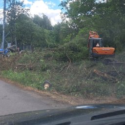 DSF Wyburzenia-Rozbiórki Dominik Filipek - Pomarańczowa mini-koparka Doosan i traktor z osprzętem, otoczone stosami świeżo ściętych gałęzi, na poboczu wąskiej asfaltowej drogi.