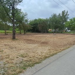 DSF Wyburzenia-Rozbiórki Dominik Filipek - Rozległa działka z suchymi resztkami skoszonej roślinności, otoczona kilkoma młodymi drzewami, obok asfaltowej drogi. W tle widoczne domy i słupy energetyczne pod pochmurnym niebem.