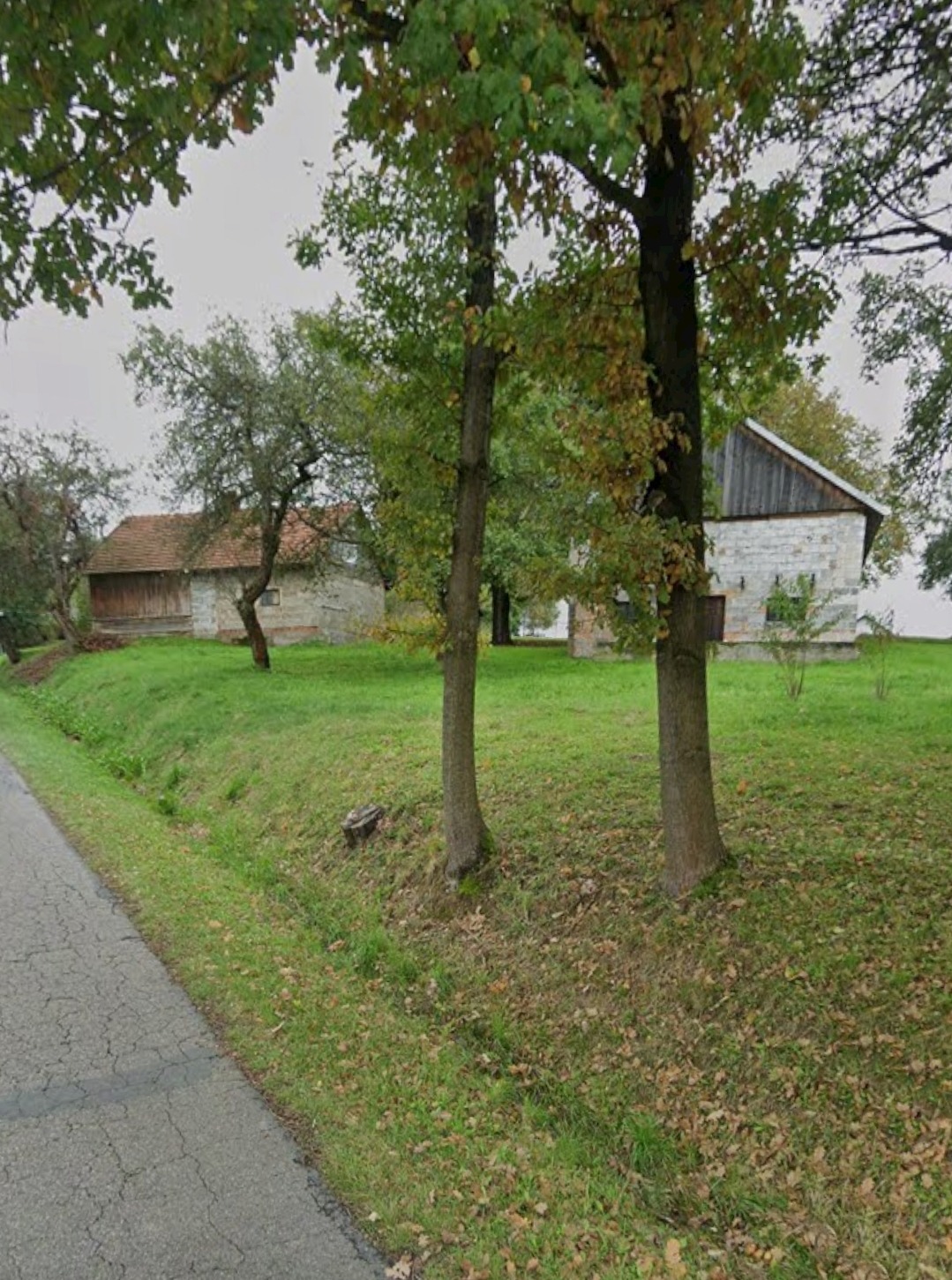 Wiejski krajobraz z dwoma budynkami: jeden z czerwonym dachem, drugi biały z szarym dachem, otoczone zielenią i drzewami. Widok z poziomu drogi.