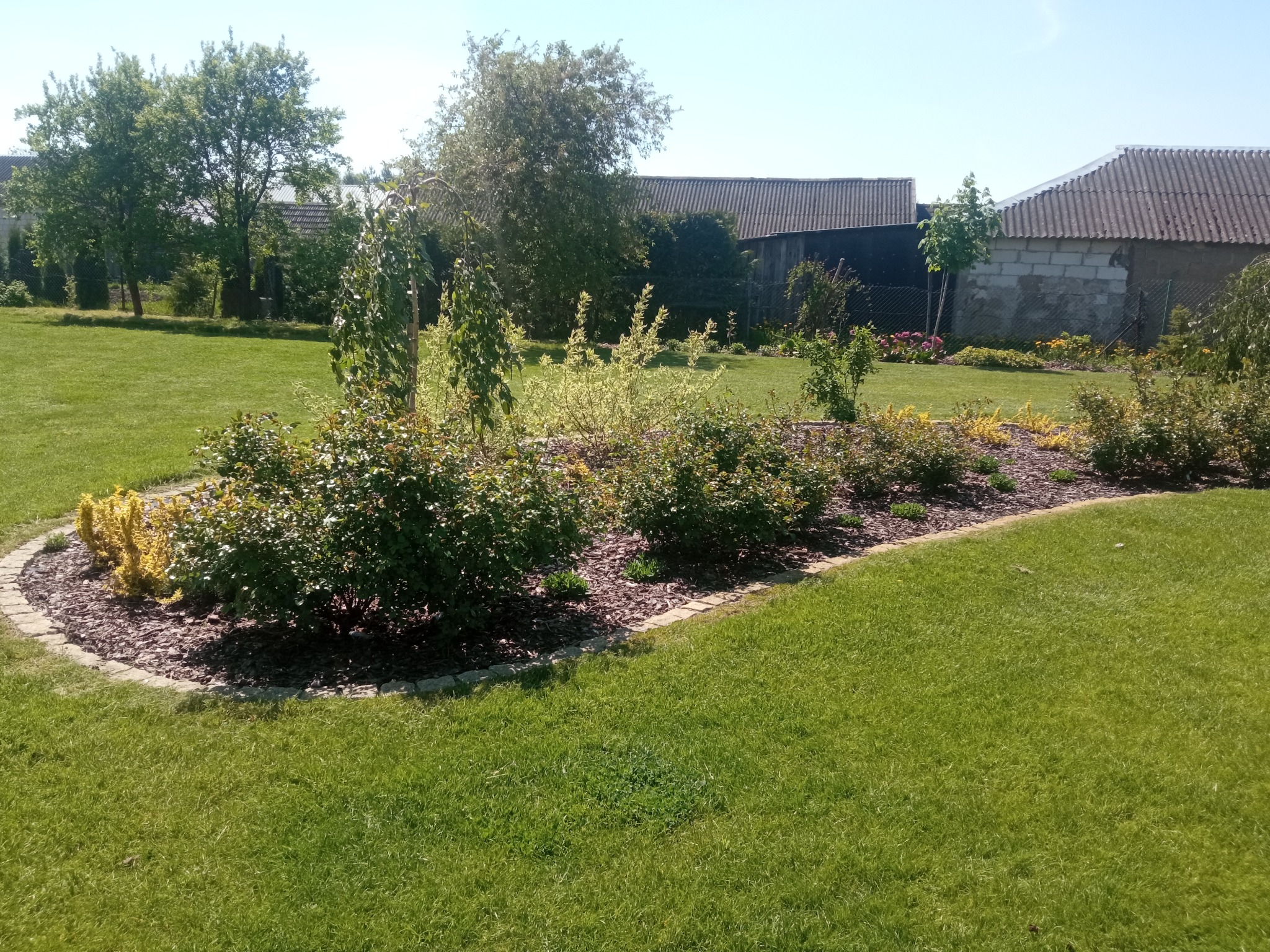 Uformowany klomb z krzewami i drzewkami ozdobnymi, obrzeże z kostki, kora jako ściółka, trawnik, budynki gospodarcze w tle.