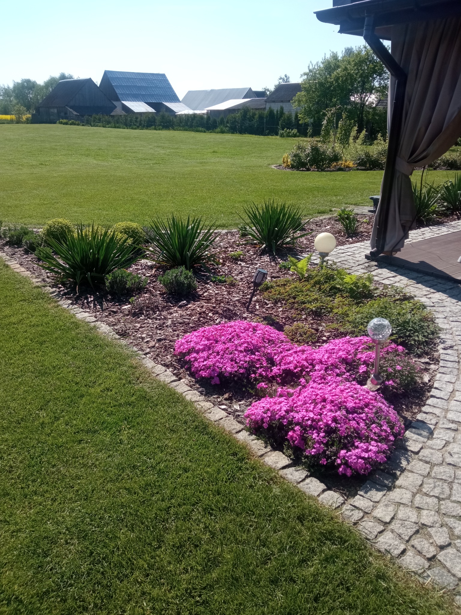 Ujęcie fragmentu wypielęgnowanego ogrodu z rabatą obsadzoną różowymi kwiatami i ozdobnymi roślinami, obrzeżem z kostki granitowej oraz zadbanym trawnikiem w tle zabudowania wiejskie.