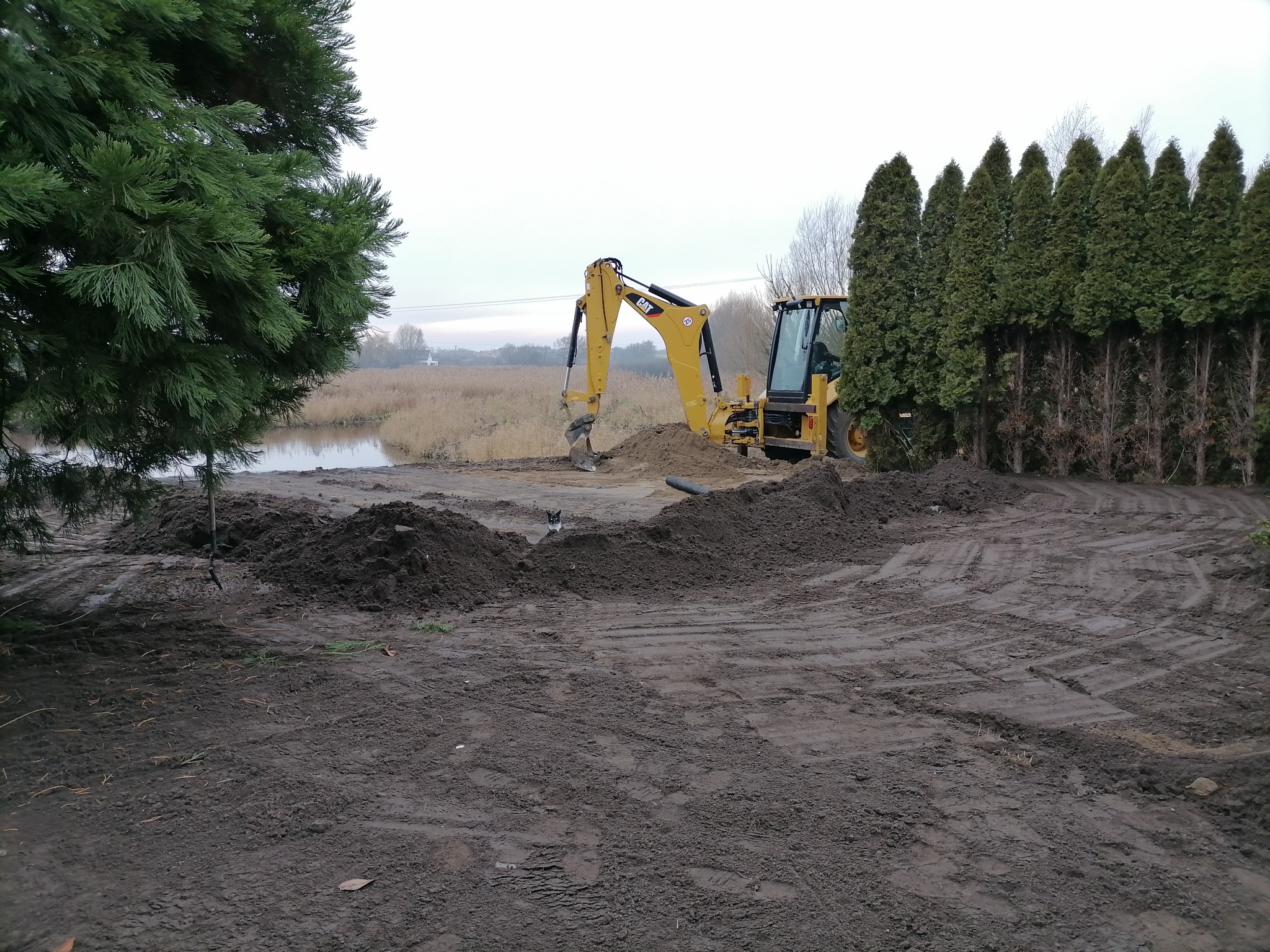 Żółta koparko-ładowarka CAT podczas prac ziemnych na błotnistym terenie, z widocznym stawem w tle i rzędem zielonych tui po prawej stronie, szaro-bura pogoda.