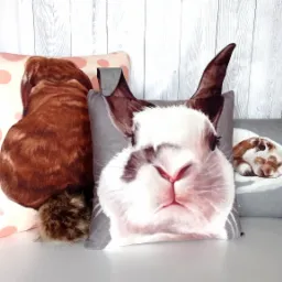 Dekoracyjne poduszki z motywami królików: siedzący brązowy królik z puszystym ogonem na poduszce w różowe kropki, portret królika z uszami na szarej poduszce oraz śpiący królik na szarej poduszce.