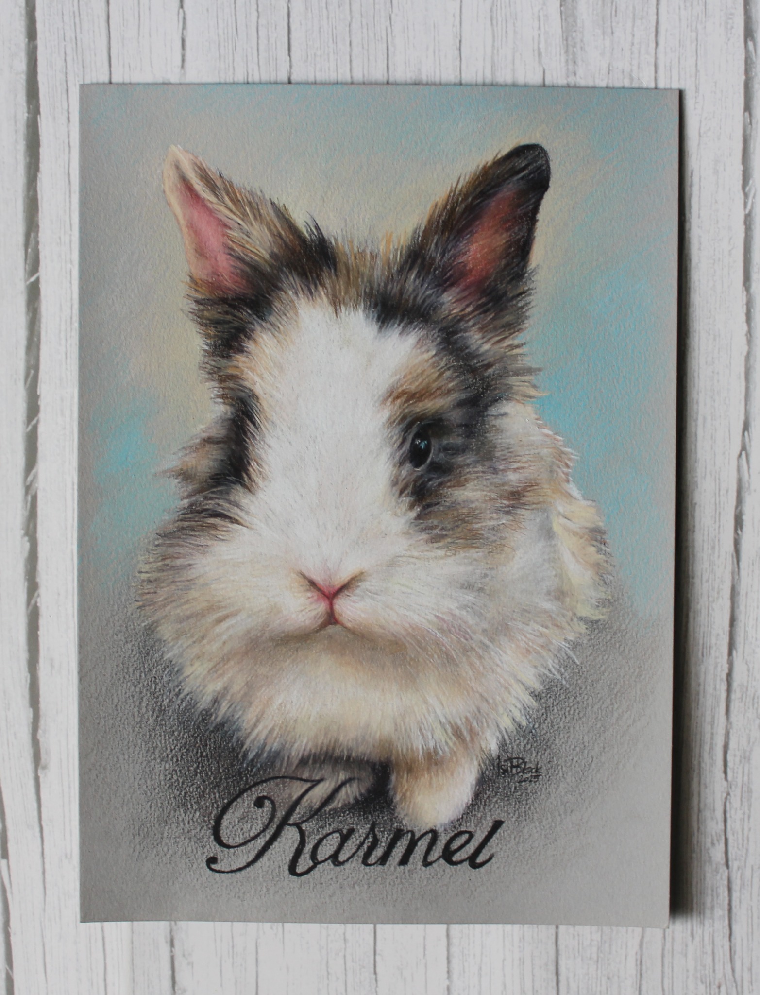 Portret królika 'Karmel' wykonany pastelami, z delikatnym tłem w odcieniach błękitu i szarości, prezentowany na tle imitującym drewniane panele.