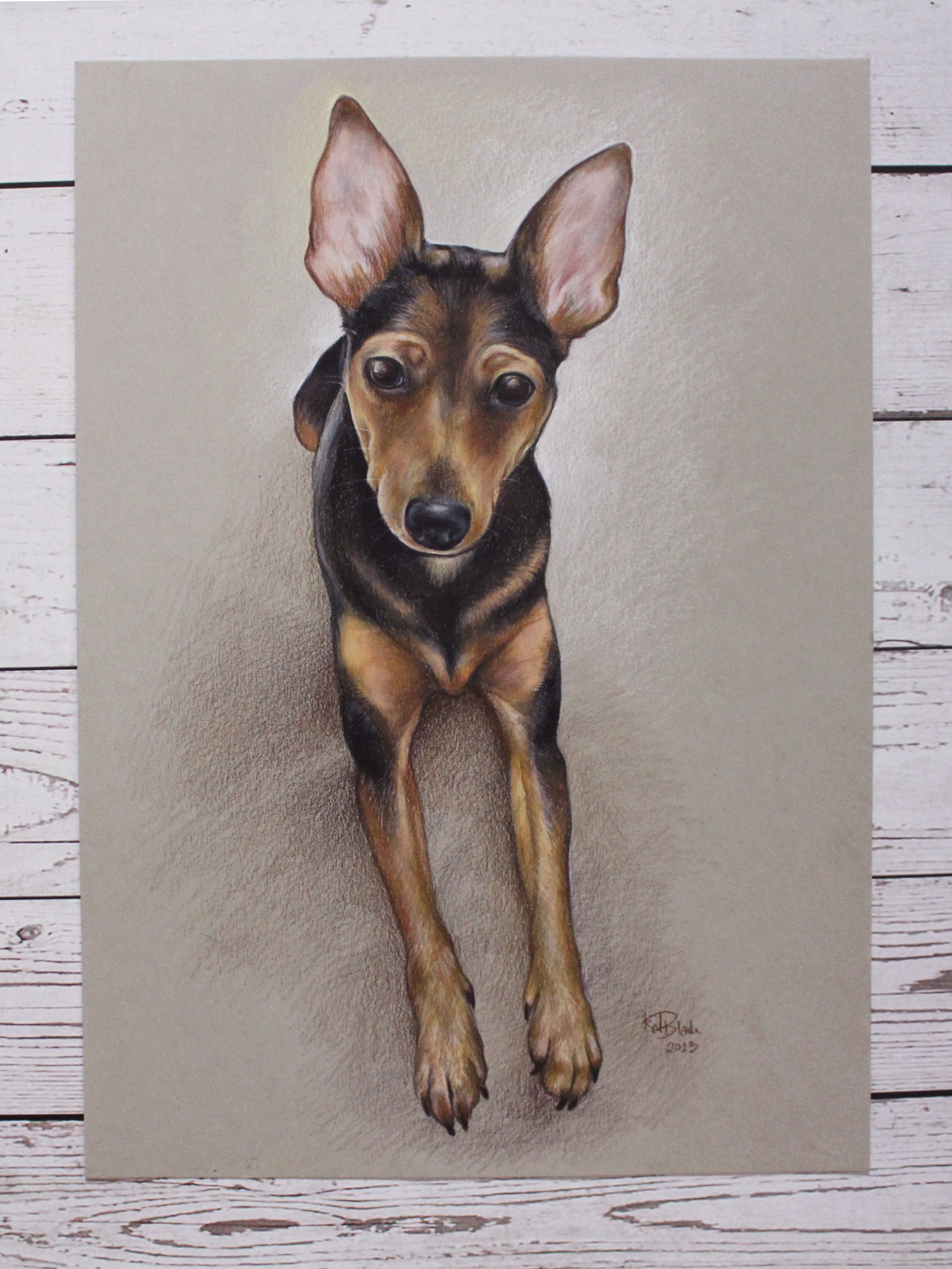 Portret psa rasy pinczer miniaturowy, wykonany kredkami na szarym papierze, z widocznym podpisem artysty w prawym dolnym rogu. Realistyczne odwzorowanie sierści i wyrazu pyska.