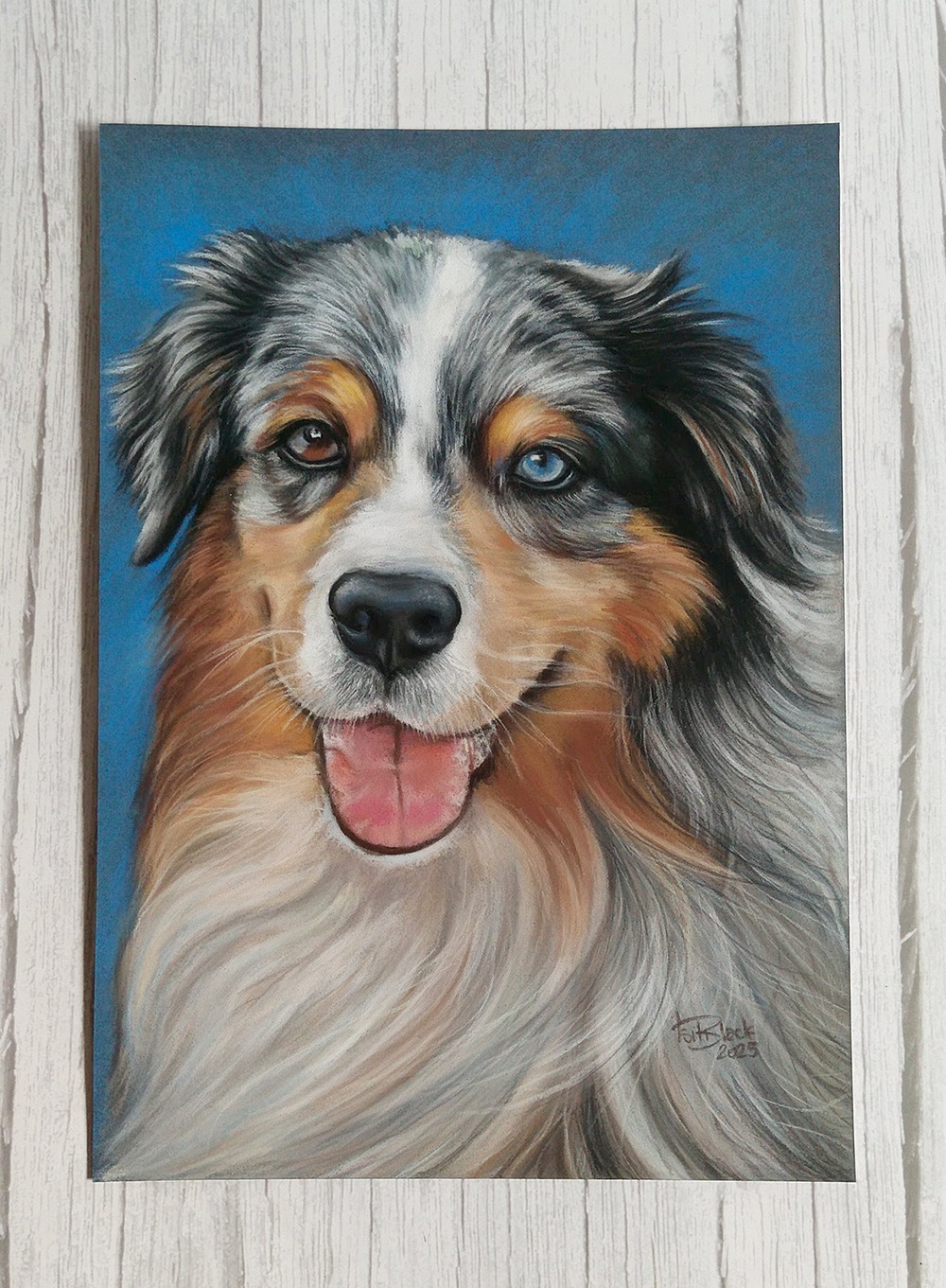 Portret psa rasy owczarek australijski, namalowany pastelami na niebieskim tle, z widocznym podpisem artysty. Realizacja z Częstochowy.