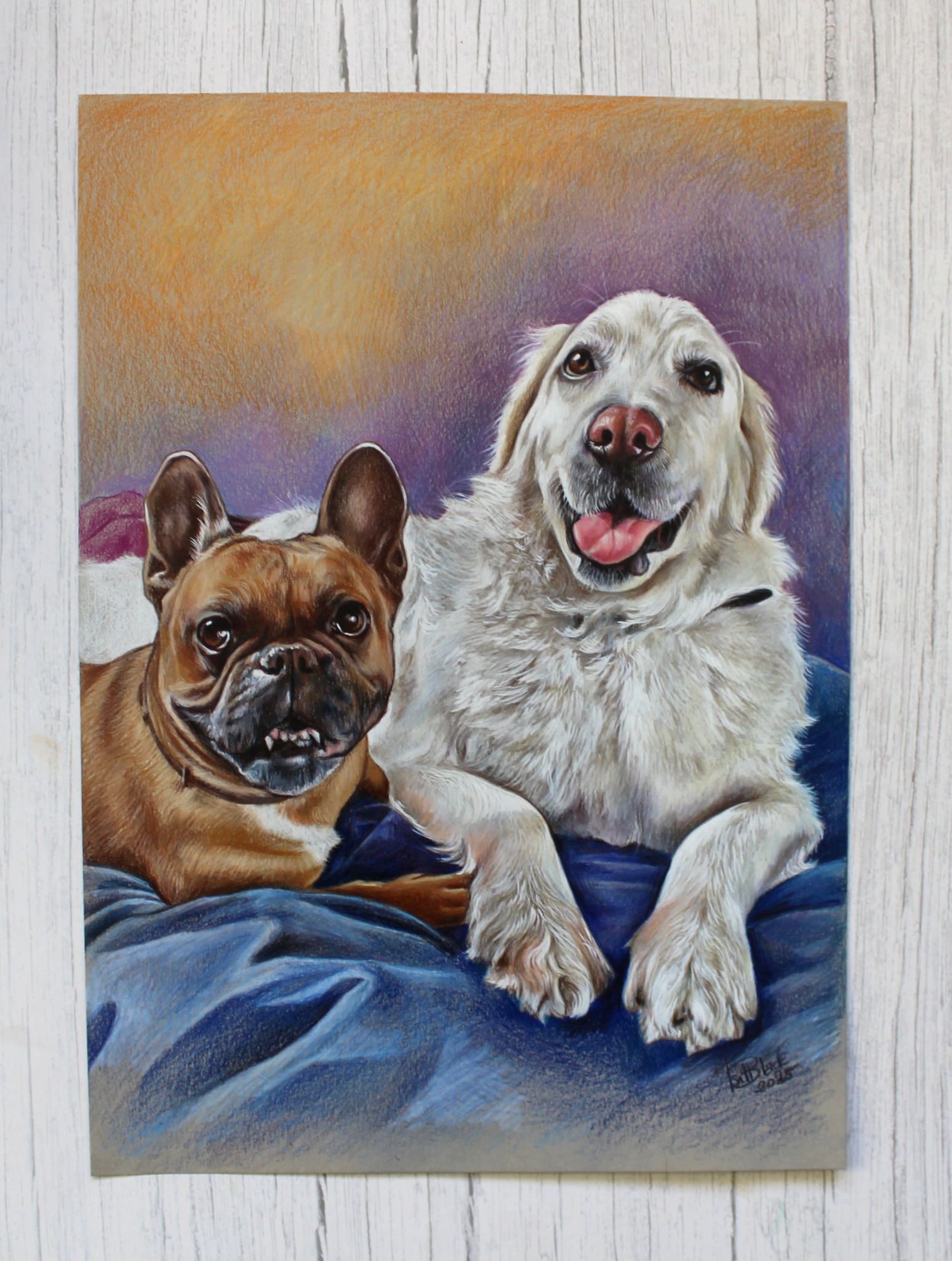 Portret dwóch psów, buldoga francuskiego i golden retrievera, wykonany pastelami na papierze. Widoczny podpis artysty w prawym dolnym rogu.