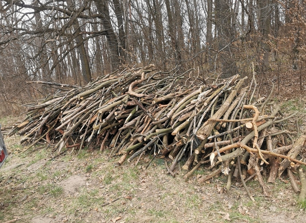 Stos gałęzi i pni drzewnych po wycince, ułożony na ziemi z widocznym fragmentem przyczepy samochodowej w tle lasu bezlistnego.