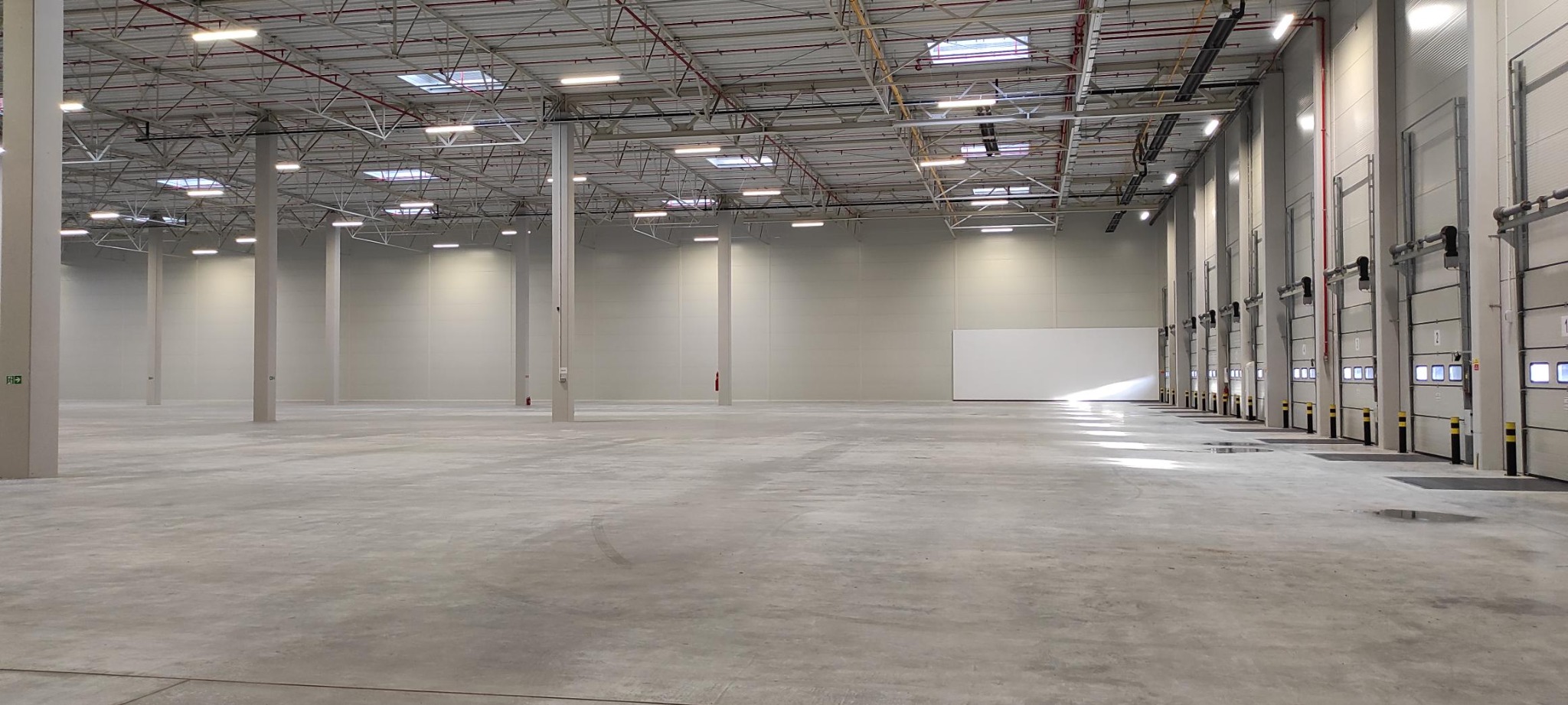 Puste wnętrze magazynu z betonową podłogą, rzędem kolumn i bramami rolowanymi w tle.