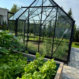 TRZPIOT COMPANY Aleksandra Trzpiot - Wykonanie podbudowy i ułożenie kostki brukowej, montaż warzywniaków i szklarni