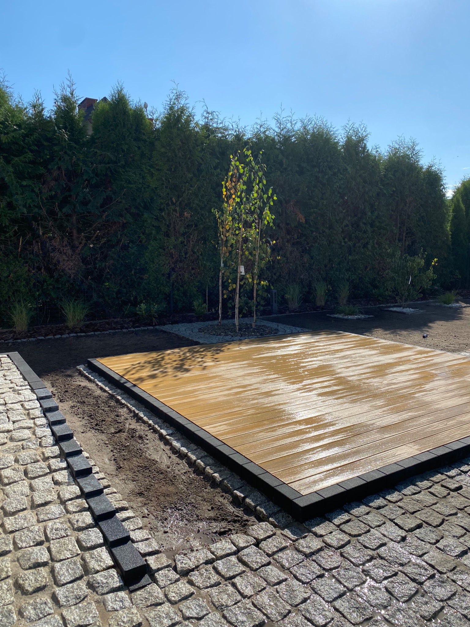 Platforma z deski kompozytowej z czarnym obramowaniem, obok ścieżka z kostki granitowej w odcieniach szarości z czarnym obrzeżem, w tle rząd wysokich, zielonych tuj i świeżo posadzona trawa...