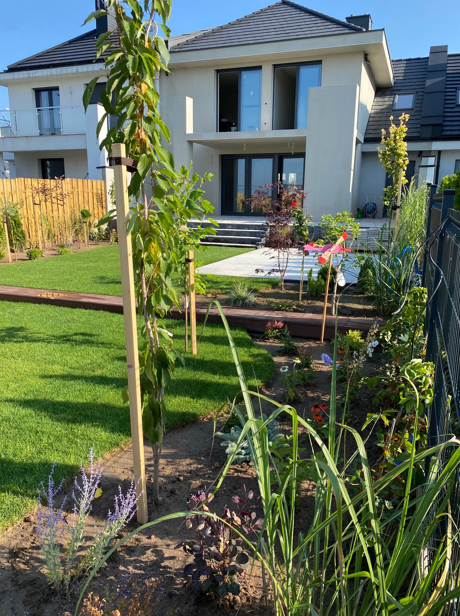 Nowoczesny ogród z trawnikiem, drewnianym chodnikiem, nasadzeniami kwiatów i młodymi drzewkami podpartymi drewnianymi palikami na tle dwukondygnacyjnego domu.