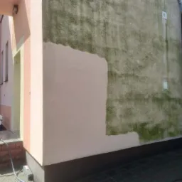 Fragment ściany budynku przed i po czyszczeniu z zielonego nalotu. Widoczna drabina i sprzęt do mycia ciśnieniowego.