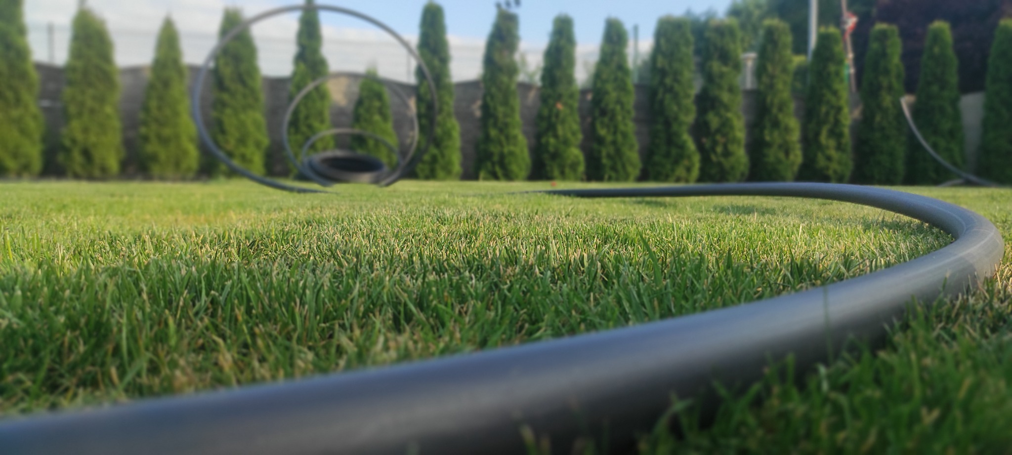 Czarny wąż do nawadniania leży na trawniku, w tle rząd tuj i metalowe obręcze dekoracyjne.