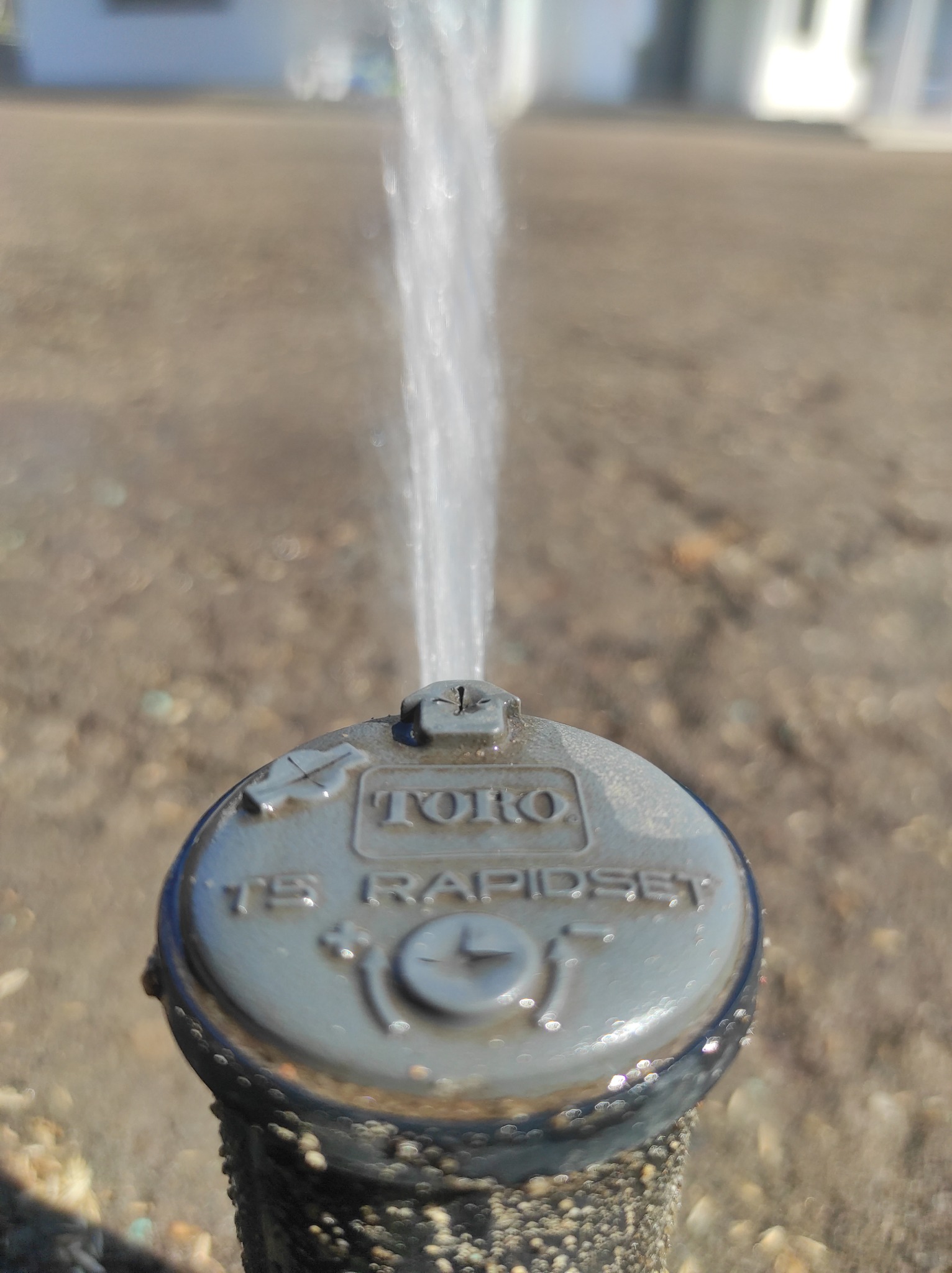 Dysza zraszająca Toro TS Rapidset w trakcie pracy, wyrzucająca strumień wody w górę na tle ziemi.