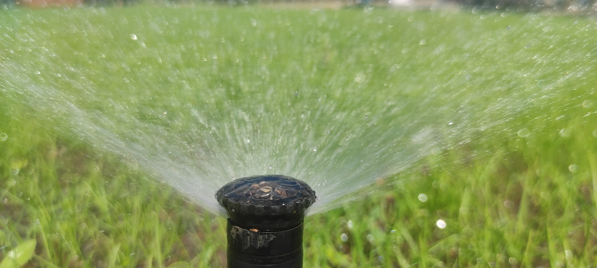 Działający zraszacz rotacyjny nawadniający trawnik, widoczne krople wody w powietrzu i soczysta zieleń trawy w tle.
