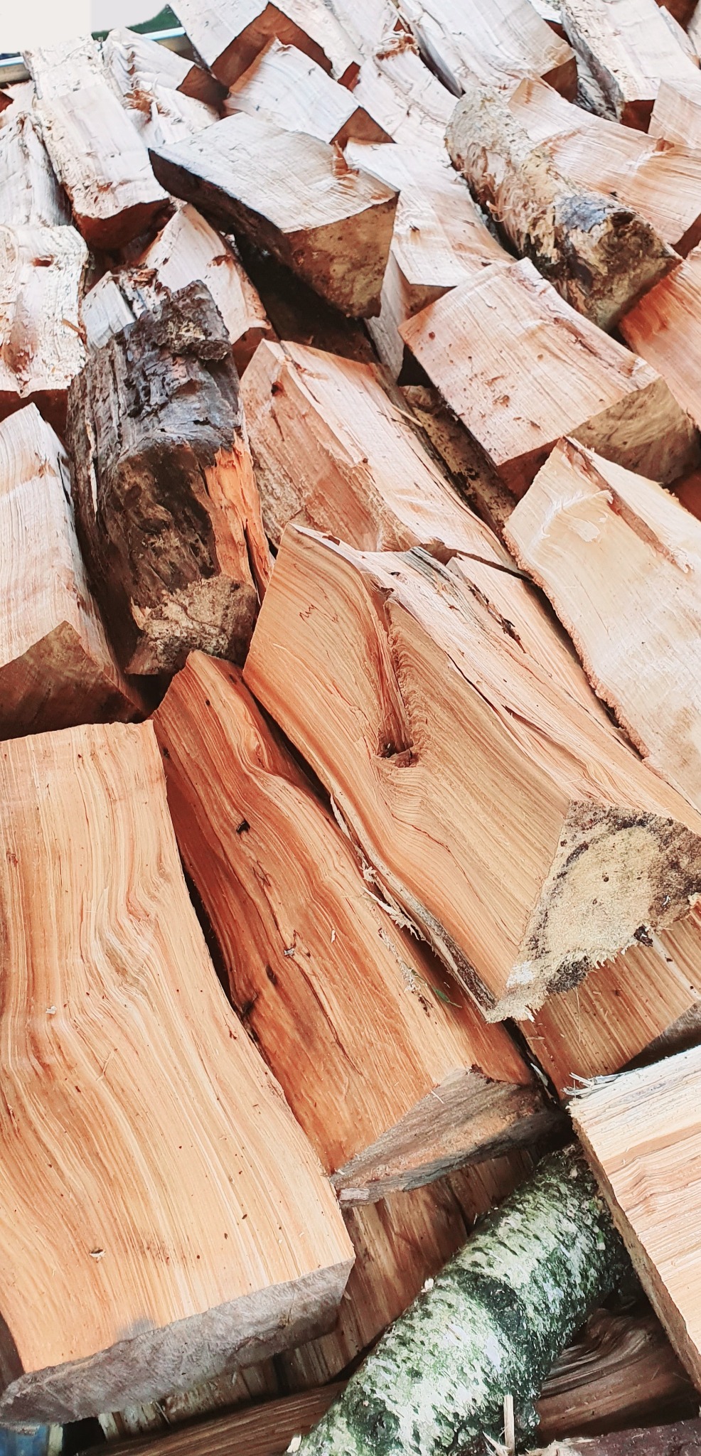 Stos świeżo porąbanego drewna kominkowego z widocznymi słojami i fragmentem kory brzozowej na spodzie.