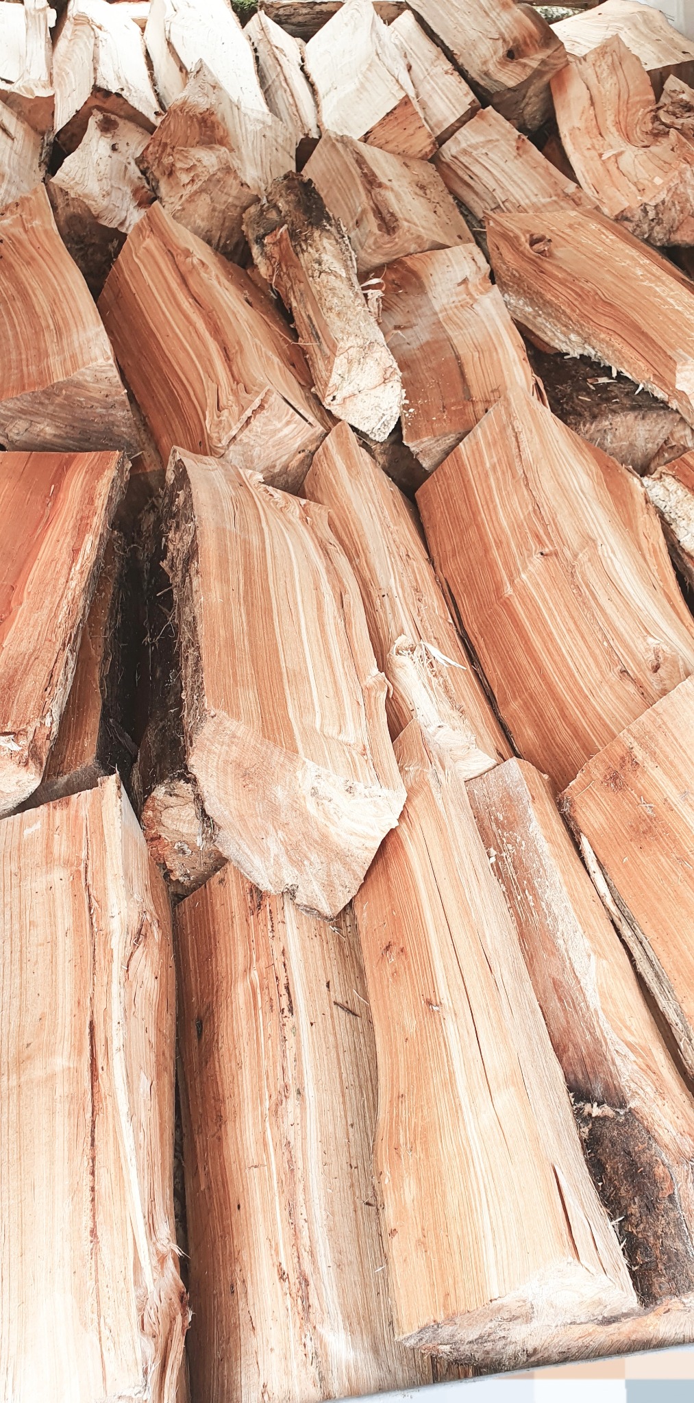 Stos pociętego drewna kominkowego z widocznymi słojami i korą, ułożonego pod kątem.