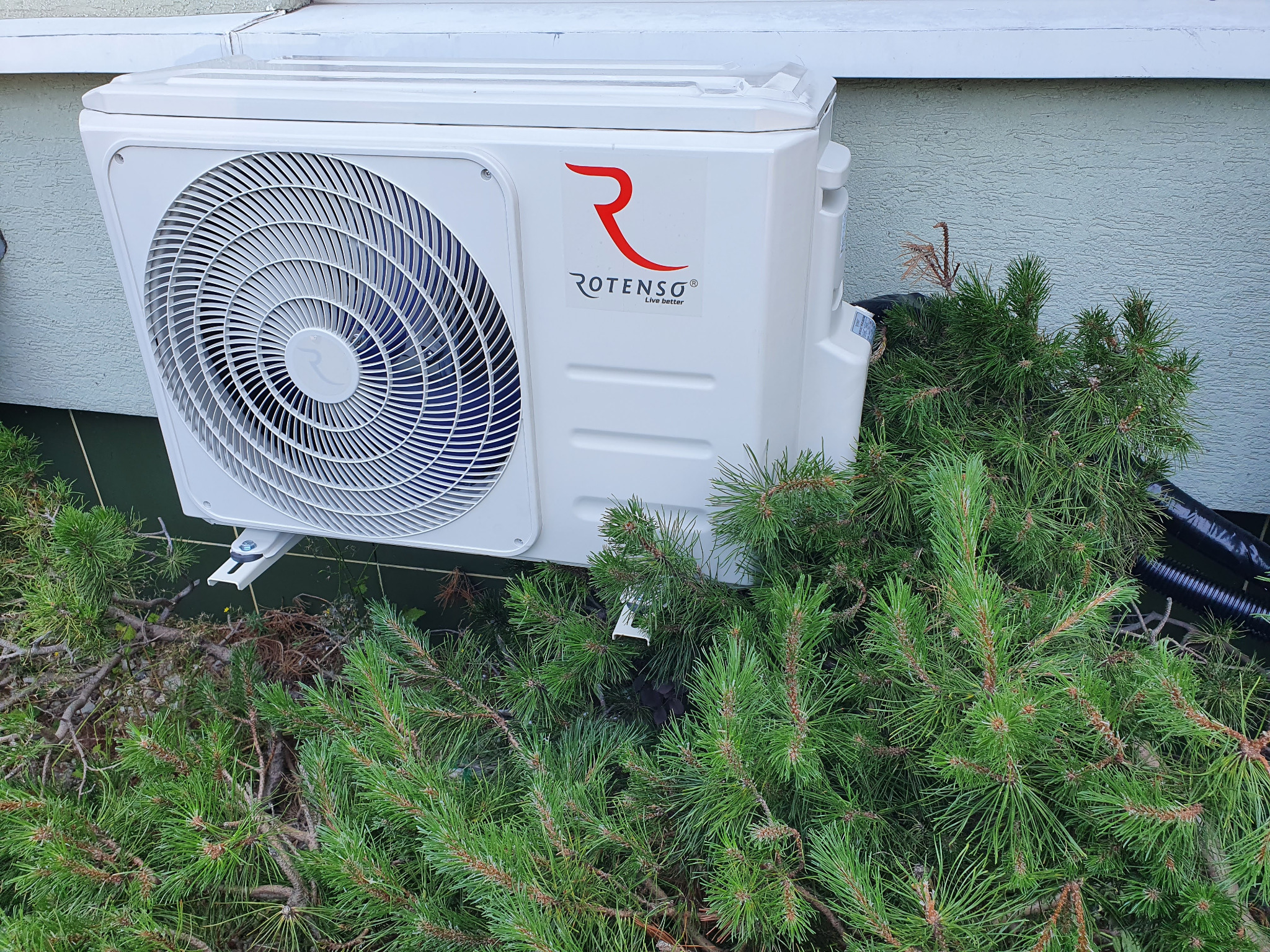 Biała jednostka zewnętrzna klimatyzatora Rotenso zamontowana na elewacji budynku, częściowo zasłonięta przez iglaki.