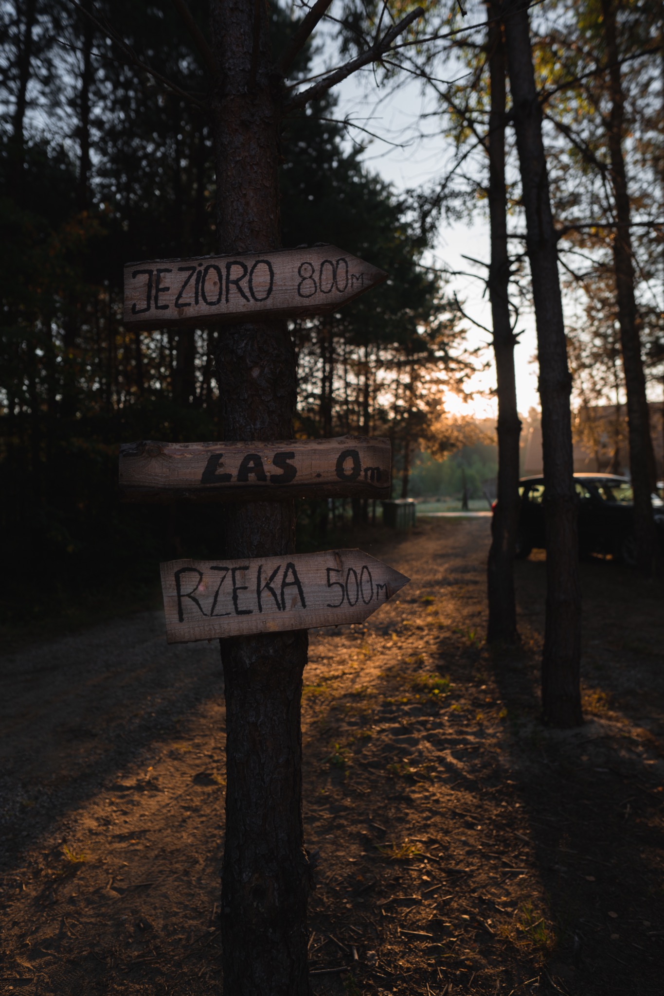 Sesja wykonana dla ' Dzika Sosna '. Domki na wynajem.