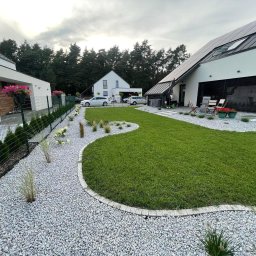 Zielony Ogródek Rafał Szmelich - Nowoczesny ogród z równo przystrzyżonym trawnikiem, ścieżką z białego żwiru obramowaną kostką, ozdobnymi krzewami i kwiatami oraz nowoczesnymi domami w tle.