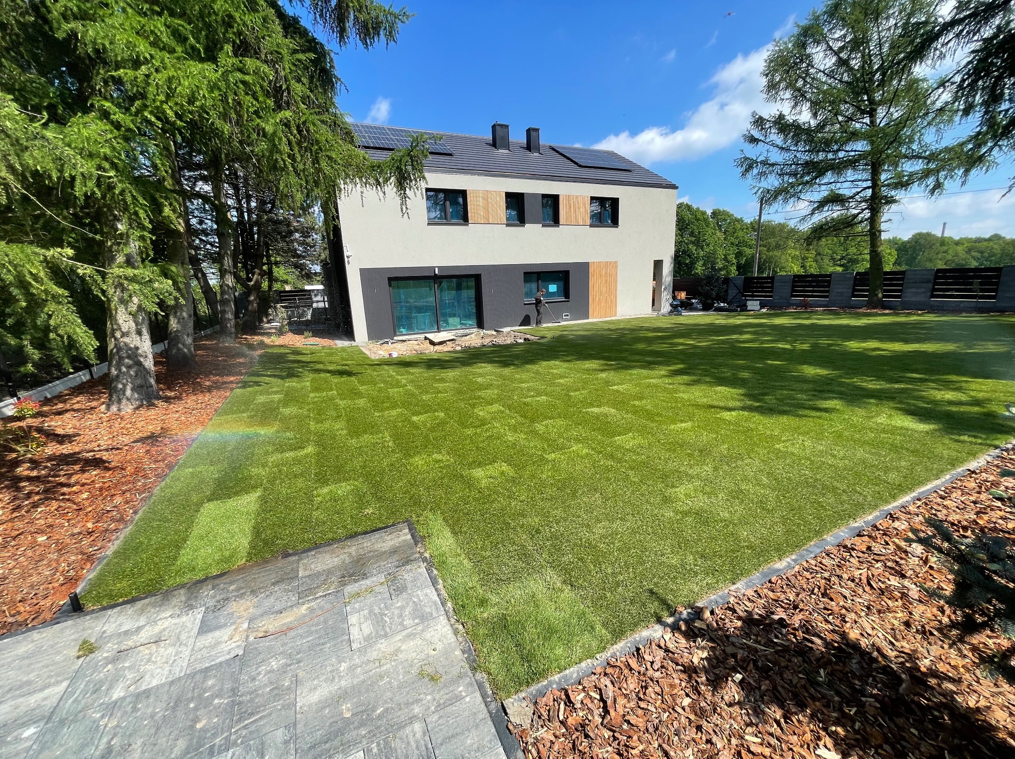 Trawa z rolki ułożona na posesji z nowoczesnym domem. System nawadniania w trakcie pracy, tworzący tęczę. Kora drzewna jako element dekoracyjny rabat.