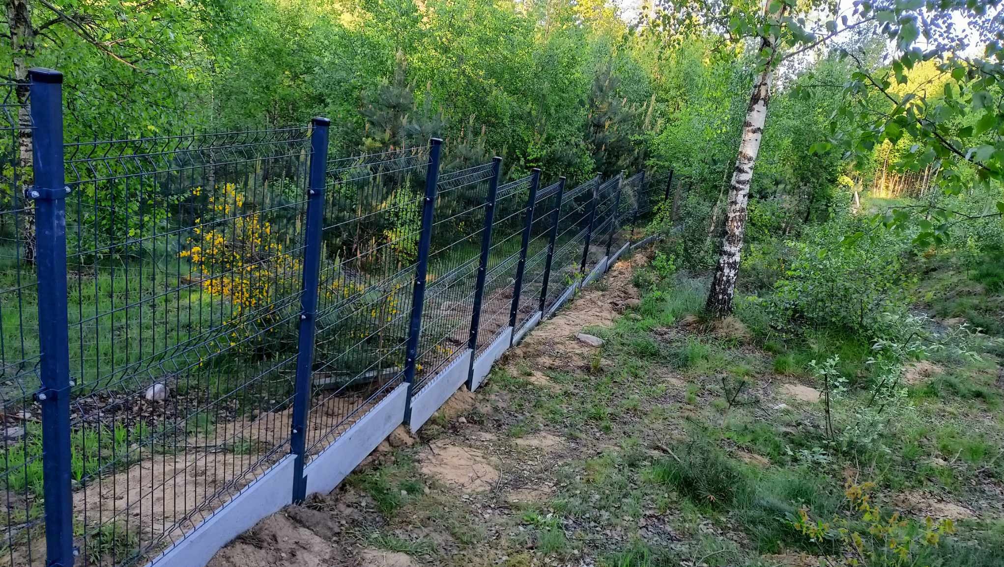 Nowoczesne ogrodzenie panelowe z podmurówką betonową w naturalnym otoczeniu leśnym, widok z zewnątrz posesji, z przodu brzoza.