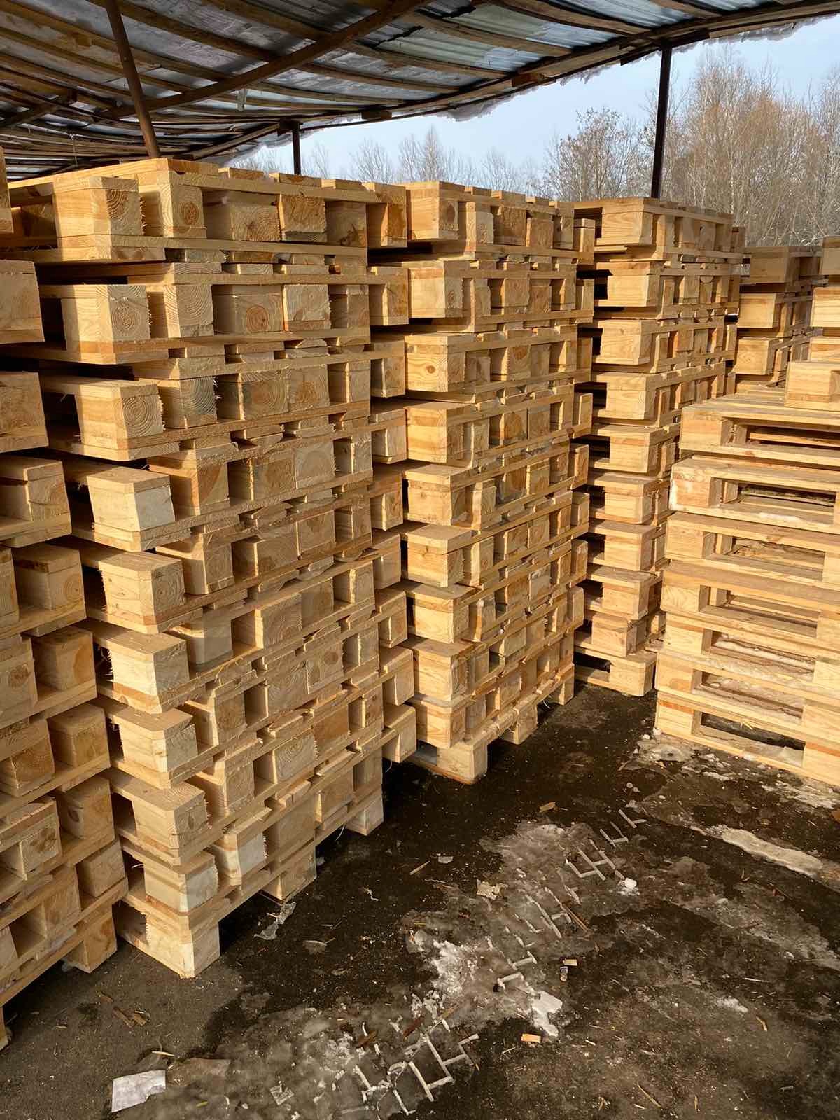 Stosy świeżych, jasnych, drewnianych palet ułożonych pod zadaszeniem, widoczne ślady wody i zabrudzenia na podłożu.