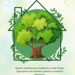 Grafika reklamowa przedstawiająca zielone drzewo w obrysie domu, symbolizujące opiekę nad osobami starszymi i niepełnosprawnymi, z informacjami kontaktowymi na dole.