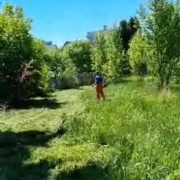 Mężczyzna w pomarańczowych spodniach kosi trawę na zarośniętej działce, widoczna różnica wysokości trawy przed i po koszeniu, drzewa i krzewy w tle, jasne niebo.